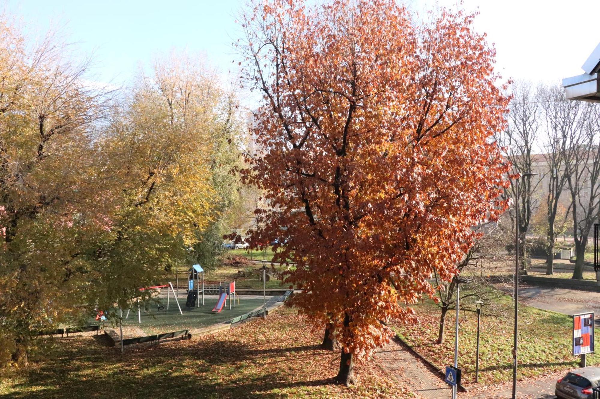 Appartamento Milano, Bovisa Politecnico, Dergano Metropolitana, Wifi - Garden 外观 照片